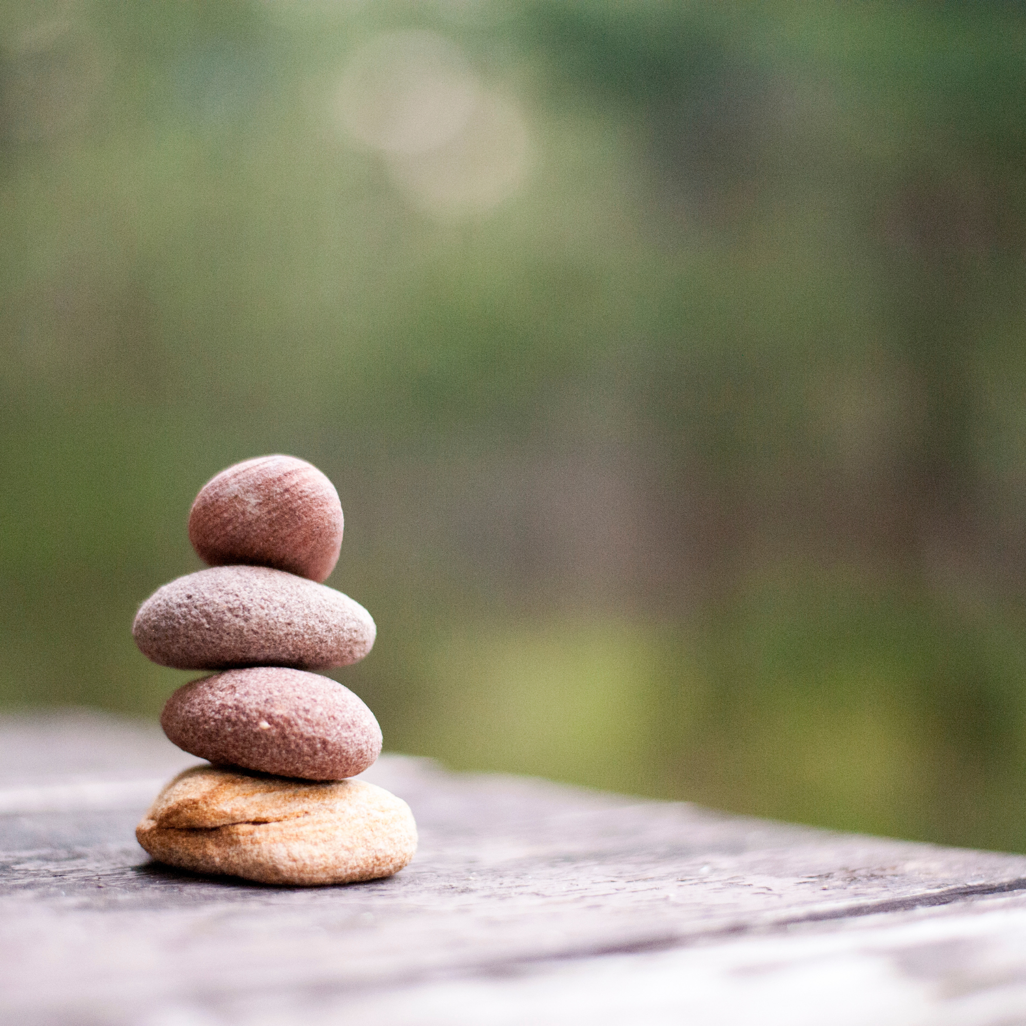 Self-Regulation & Co-Regulation After Betrayal